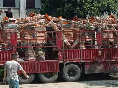 7 קבוצות של מניפולטורים צלילה הועברו למיאמי